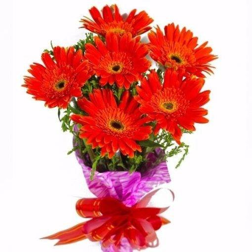 red gerbera bouquet