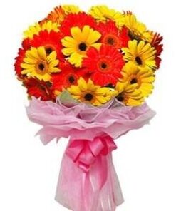 Allurement Bunch of Gerbera