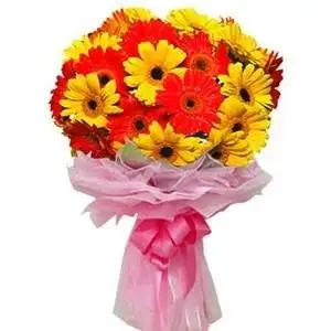 Allurement Bunch of Gerbera