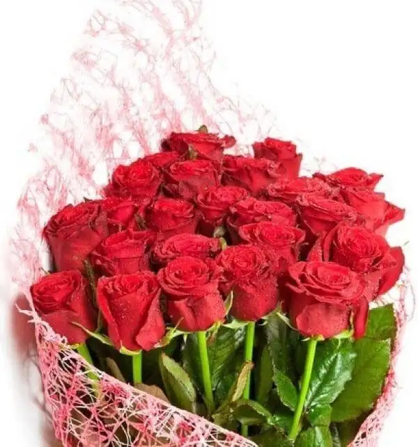 Red Roses Bouquet