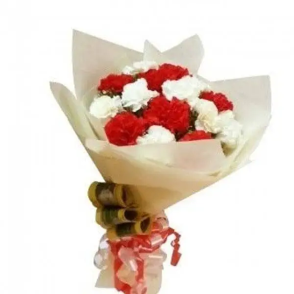 Red & White Carnations Bouquet