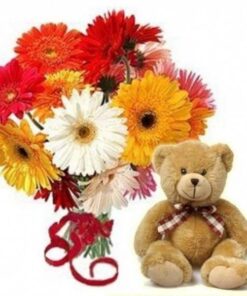 Bunch of Mix Gerbera's and Soft Teddy