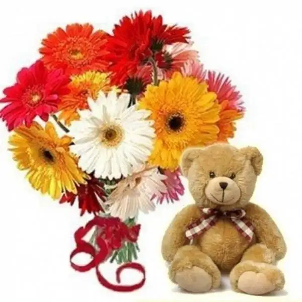 Bunch of Mix Gerbera's and Soft Teddy