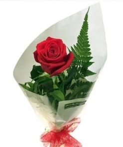 Special Single Rose
