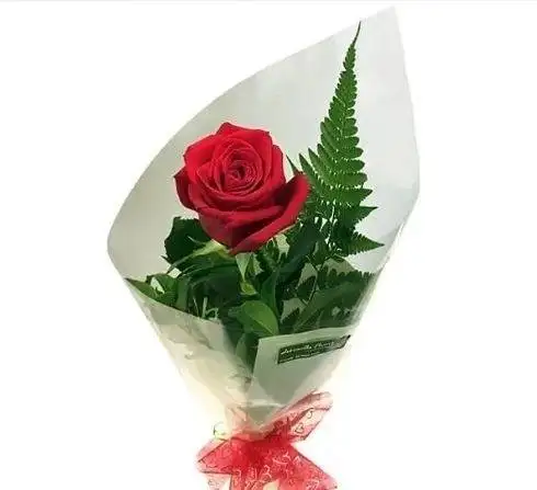 Special Single Rose