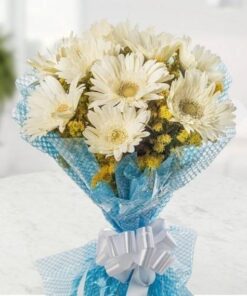 Gerbera Bouquet in Cellophane