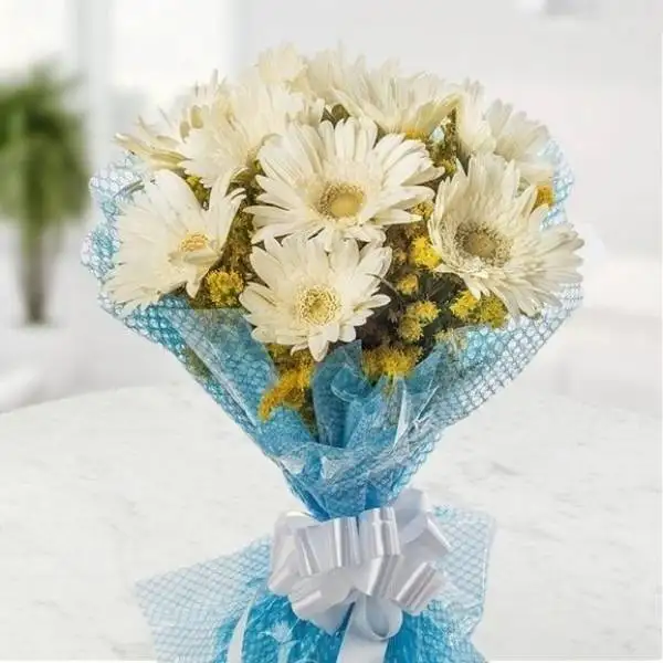Gerbera Bouquet in Cellophane
