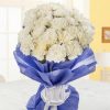white in blue carnations