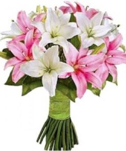 Bunch of Mixed Lilies