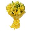 yellow blossom lilies