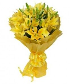 Blossom Yellow Lilies in Yellow