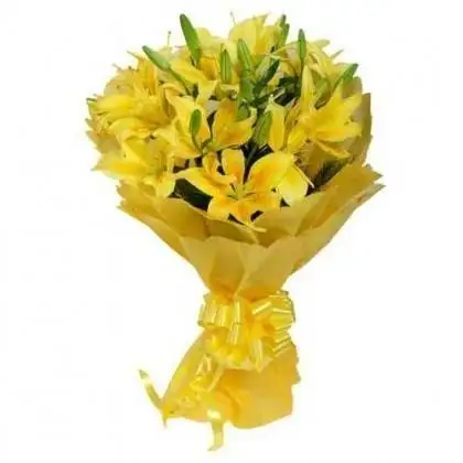 Blossom Yellow Lilies in Yellow