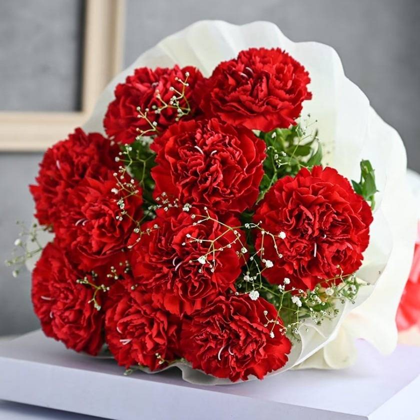 Order Now Carnation Flower Delivery Online