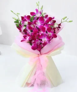 Orchids