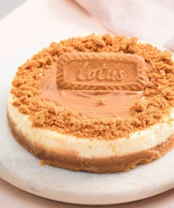 Delicious Biscoff Cheese Cake