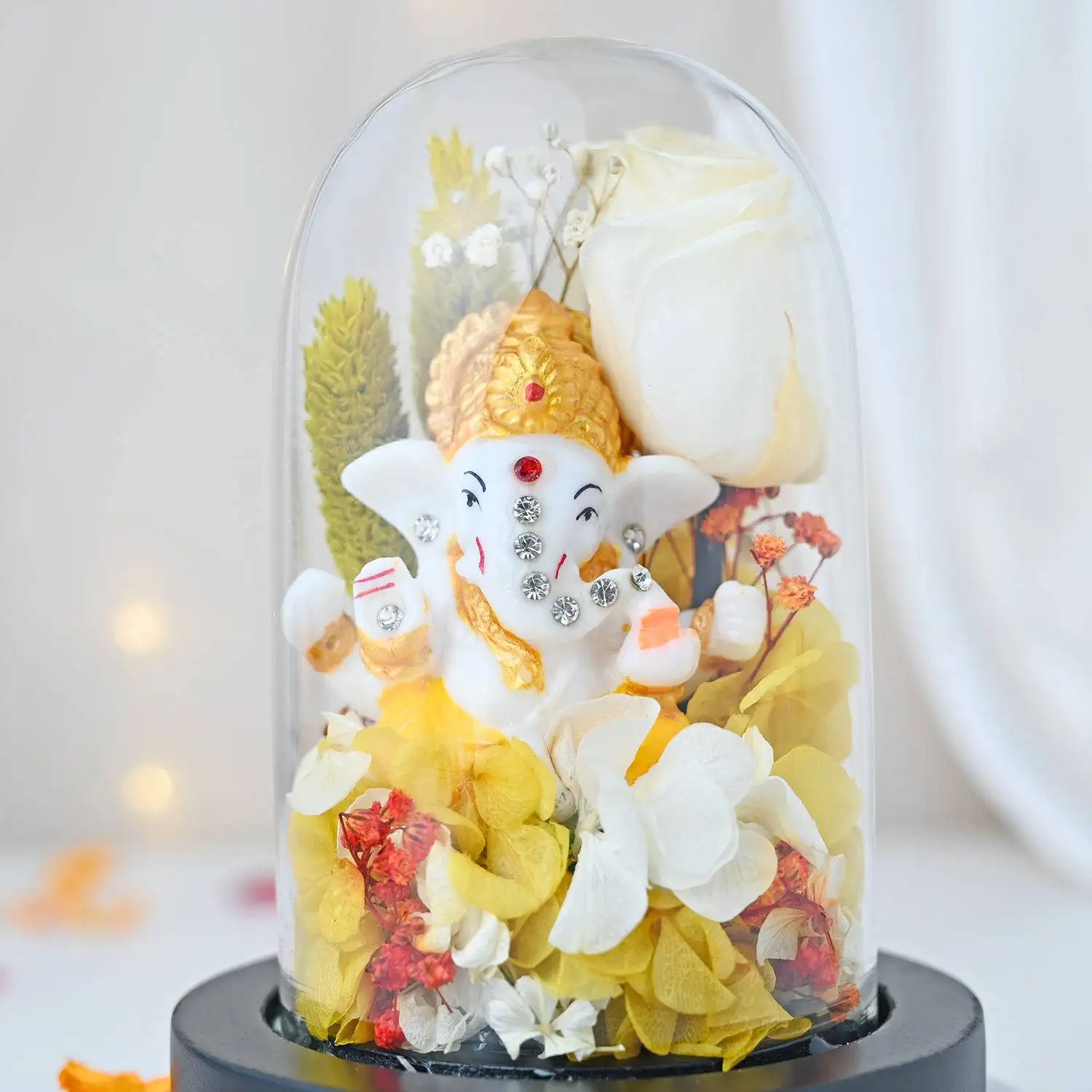 Blessed with Ganesha Idol