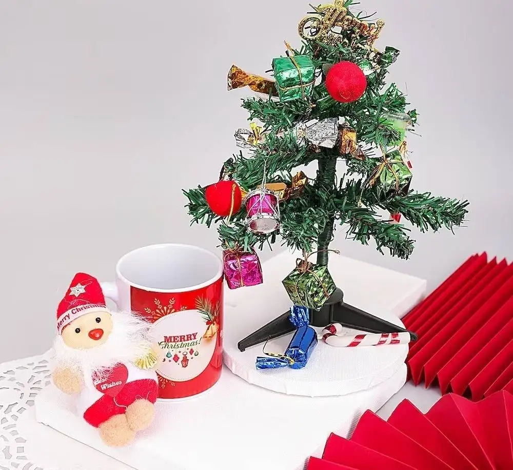 Christmas Surprise Combo