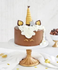 Delicious Chocolaty Unicorn Cake