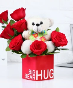 The Big Hug Teddy Combo