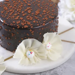 Chocolate Dream Mini Cake